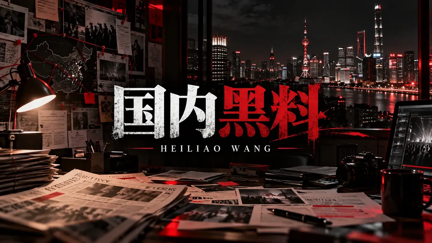 公共治理观察配图